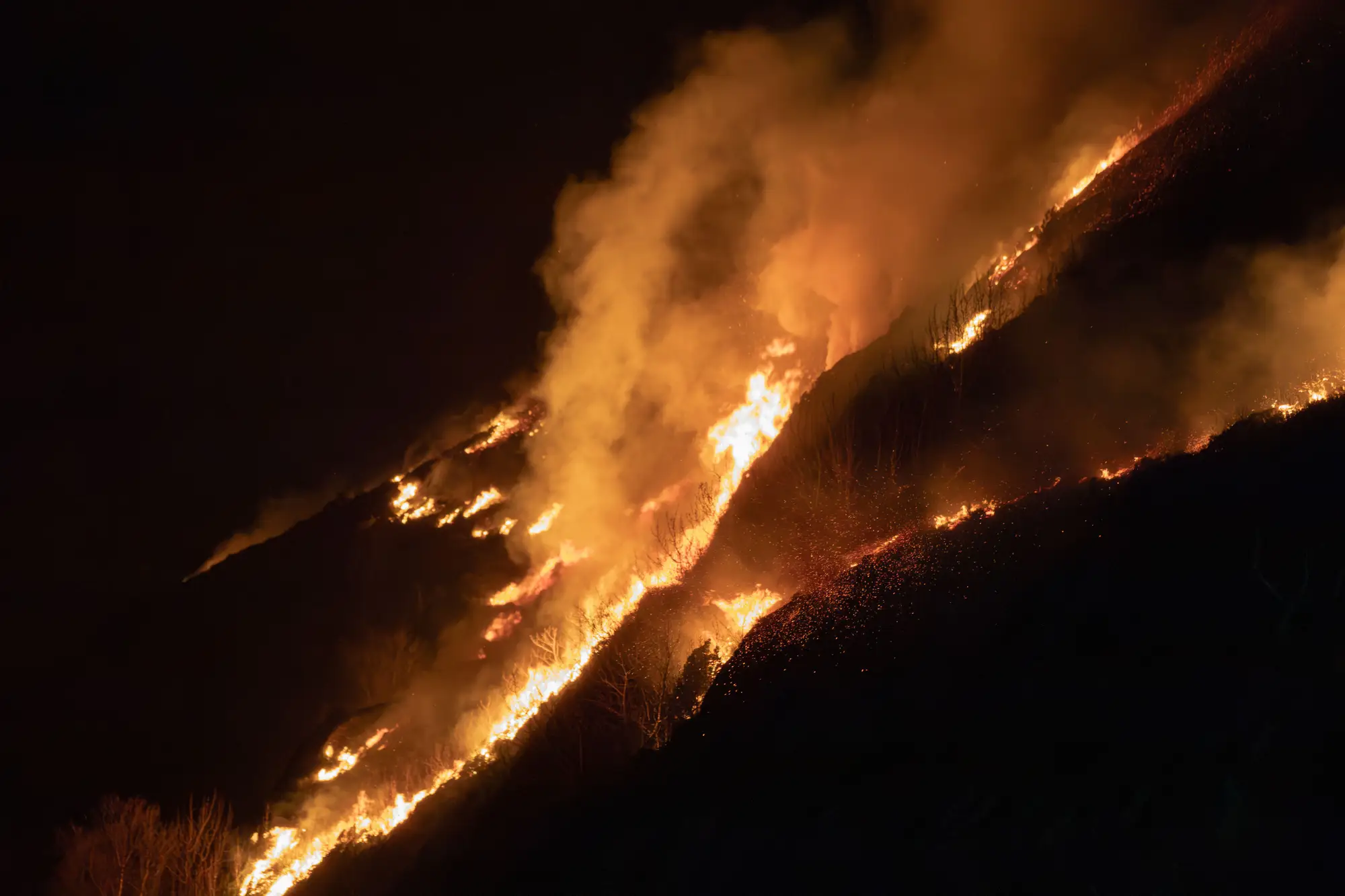 A wildfire burning up a steep forested slope at night